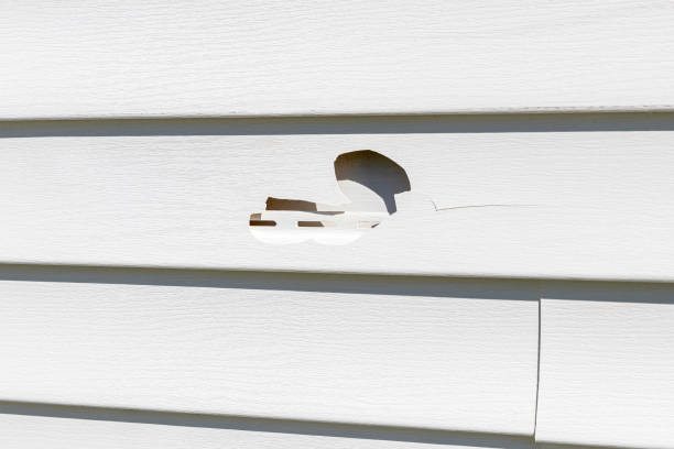 Best Storm Damage Siding Repair  in Medpolis, IA