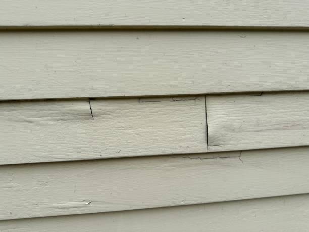 Best Historical Building Siding Restoration  in Medpolis, IA